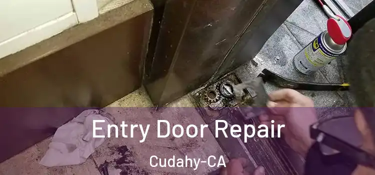  Entry Door Repair Cudahy-CA
