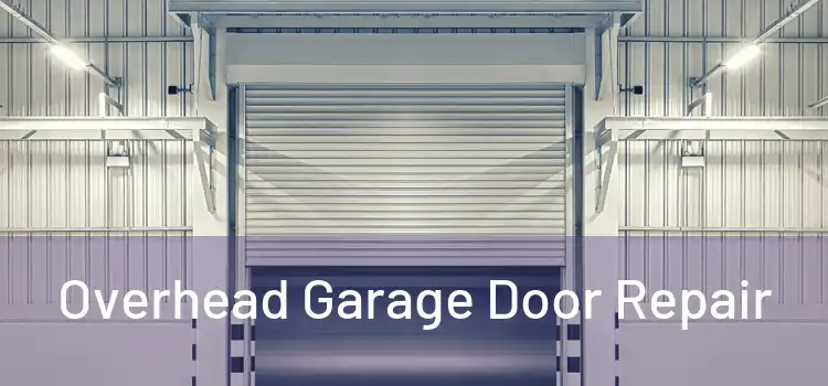  Overhead Garage Door Repair 